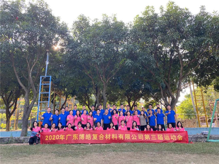 廣東博皓是華南乃至中國品種最齊全、服務最快捷的復合材料(玻璃鋼)原（輔）材料供應商