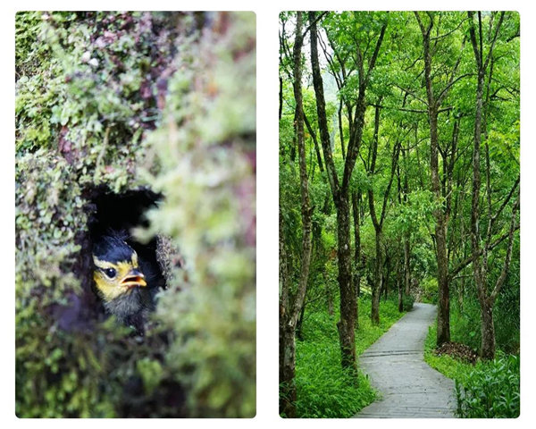 多彩貴州,魅力天下,2021年廣東博皓快樂貴州行-24