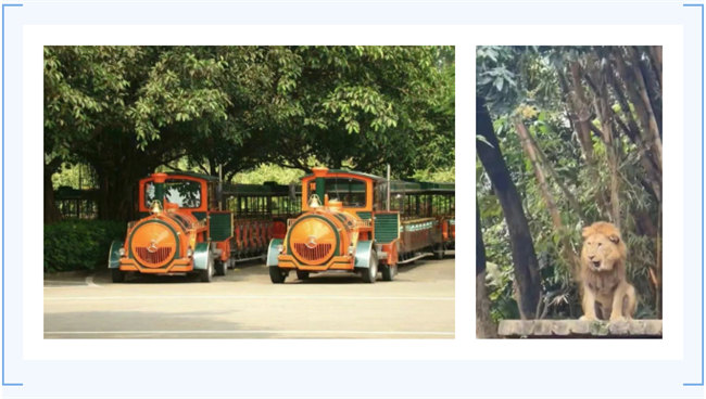 大手牽小手，快樂親子游！廣東博皓2023年親子游活動        -7