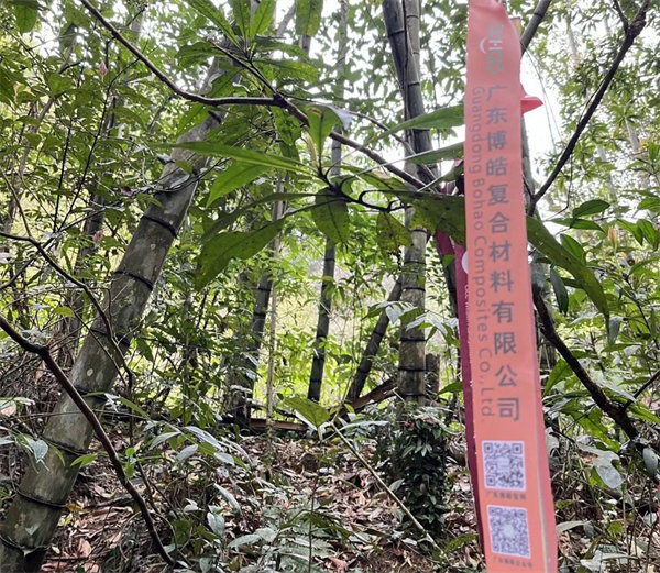 凝心聚力再出發(fā),風雨同舟赴星溪!--廣東博皓2024龍年首登星溪之旅 -2