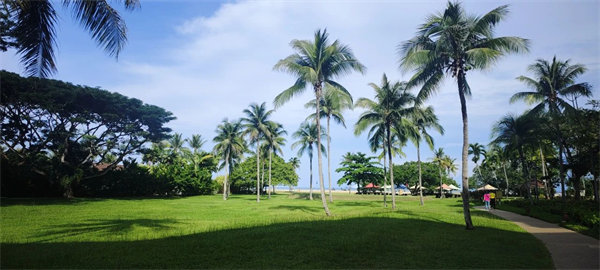 廿載風云一路行，馬來風情共見證&mdash;&mdash;2024廣東博皓馬來西亞之旅   -25