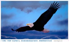 業(yè)績的背后 業(yè)績的背后