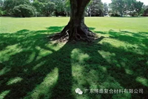 【博皓感悟】欲為大樹，莫與草爭-6